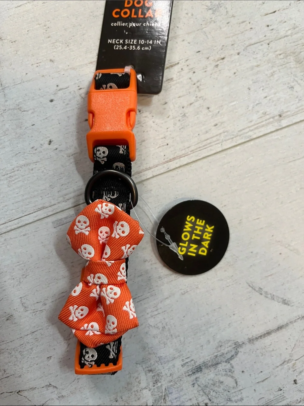 Thrills and Chills Glow in The Dark Dog Collar Size Small